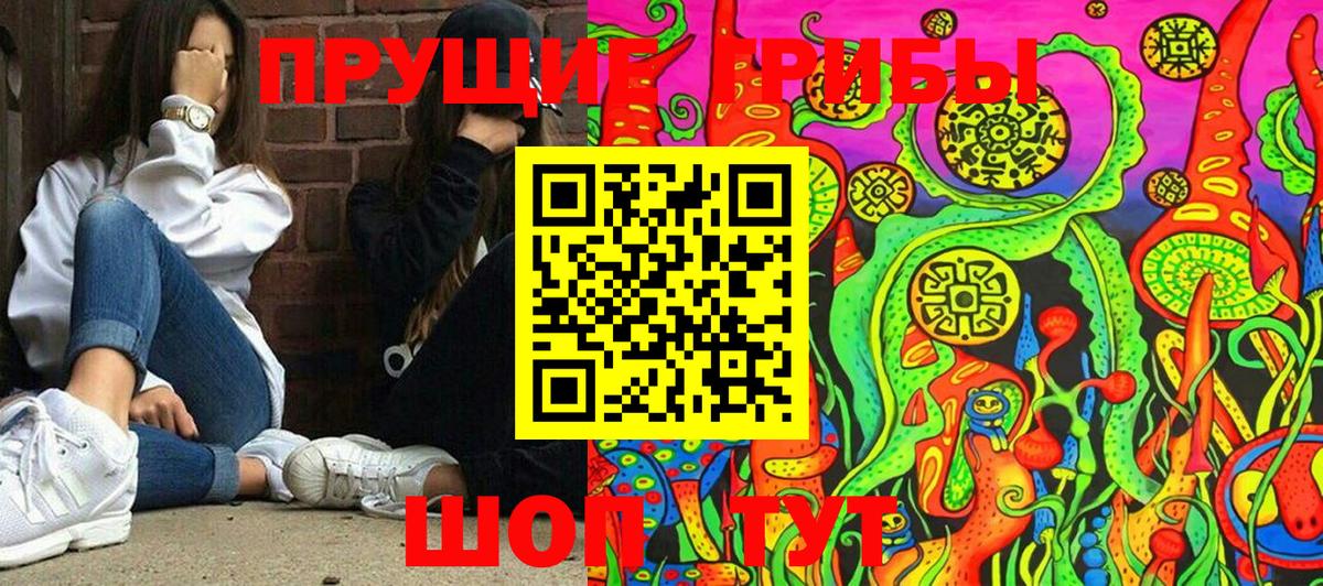 Галлюциногенные грибы мицелий Салехард